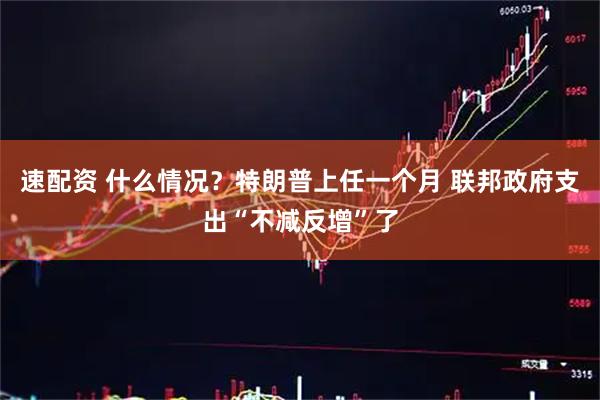 速配资 什么情况？特朗普上任一个月 联邦政府支出“不减反增”了