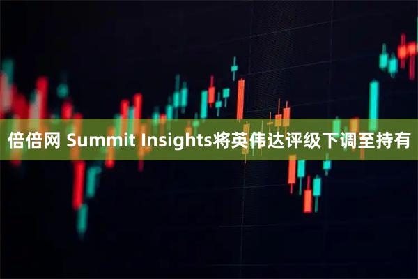倍倍网 Summit Insights将英伟达评级下调至持有