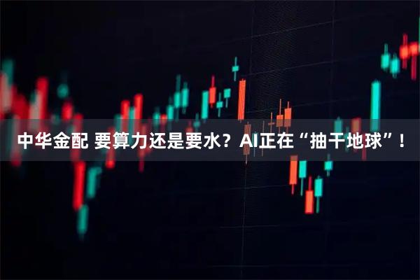 中华金配 要算力还是要水？AI正在“抽干地球”！