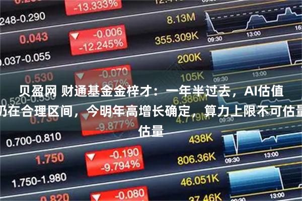 贝盈网 财通基金金梓才：一年半过去，AI估值仍在合理区间，今明年高增长确定，算力上限不可估量